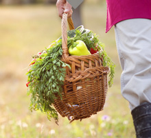 S&eacute;lection biologique