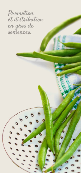Promotion et distribution en gros de semences.